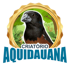 logotipo